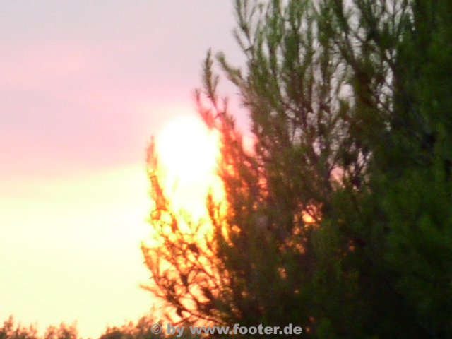 Kroatien-Punat-03-033.JPG
