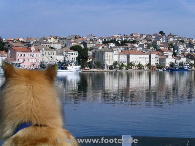 Kroatien-Oase020.jpg