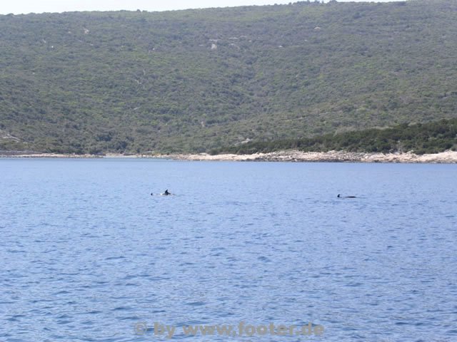 Kroatien-Oase032.jpg