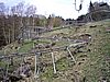 vatertagstour-ccbb-2006-33.JPG